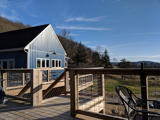 Vineyard «Naked Mountain Winery & Vineyards», reviews and photos, 2747 Leeds Manor Rd, Markham, VA 22643, USA