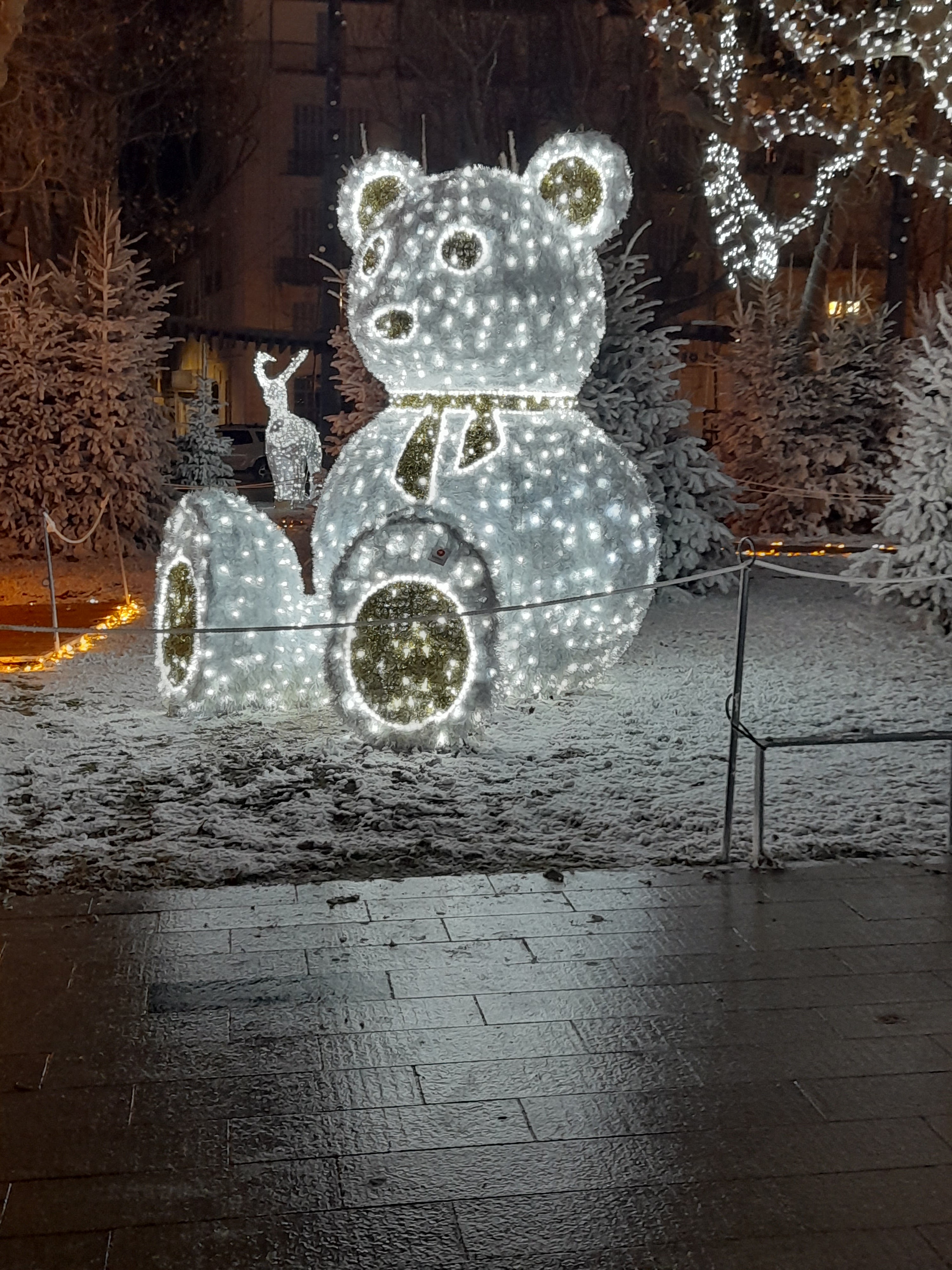 Photo n° 3 de l'avis de Bieffeilh.a fait le 11/01/2022 à 16:27