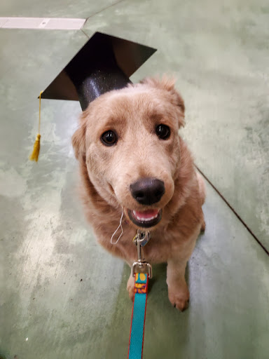 Pet Supply Store «PetSmart», reviews and photos, 5810 Antioch Rd, Merriam, KS 66202, USA