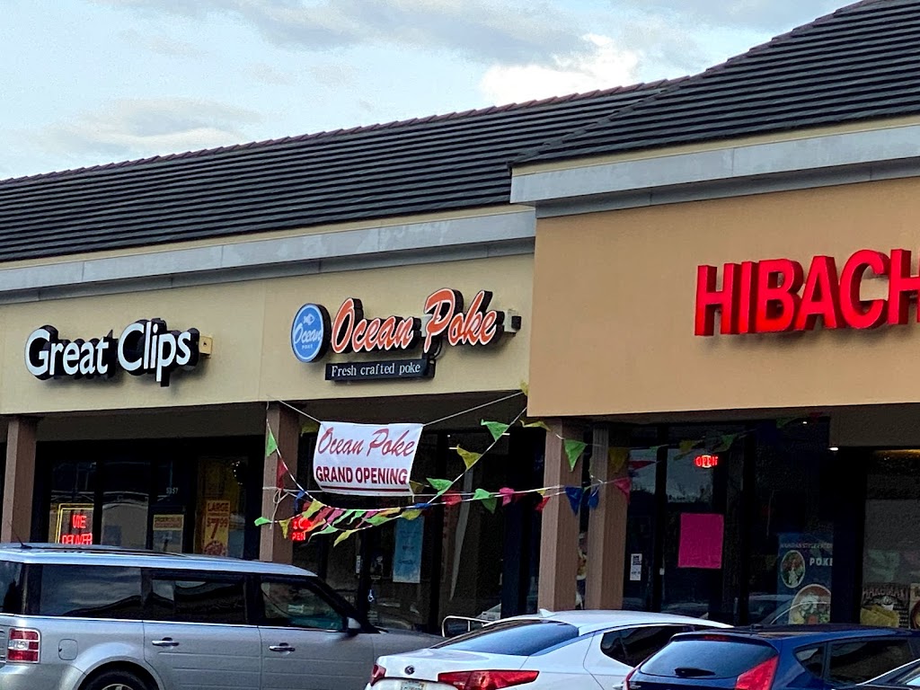 OCEAN POKE Lakeland, FL 33809 Menu, Reviews, Hours & Contact
