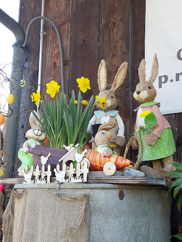 Rezensionen über Rast Gartenpflege, Näfels in Glarus Nord - Gartenbauer