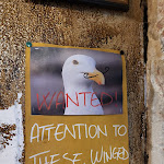 Photo n°3 de l'avis de AlissaN.. fait le 14/05/2024 à 07:14 sur le  L' Bacaro de' Bischeri à Venice