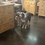 Photo n°4 de l'avis de Juris.r fait le 27/05/2023 à 20:25 sur le  Ristorante pizzeria Sunrise Bormio à Bormio