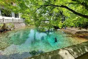 Beppu Benten Pond image