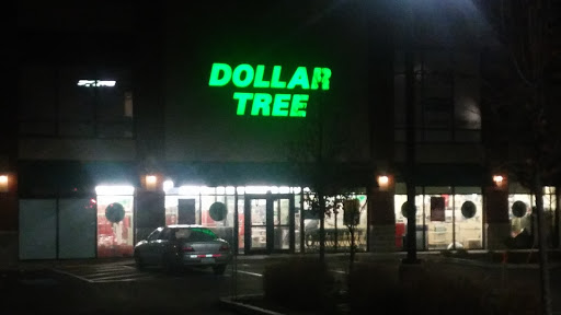 Dollar Store «Dollar Tree», reviews and photos, 912 River St Ste 100, Hyde Park, MA 02136, USA