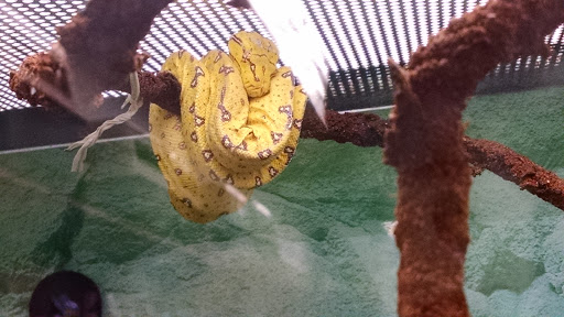 Pet Supply Store «Petco Animal Supplies», reviews and photos, 200 McMahan Blvd, Marion, OH 43302, USA