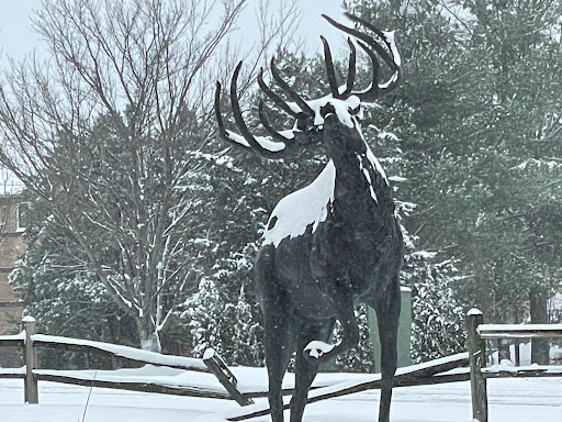 Cadillac Dealer «Andrews Cadillac Company», reviews and photos, 1 Cadillac Dr, Brentwood, TN 37027, USA