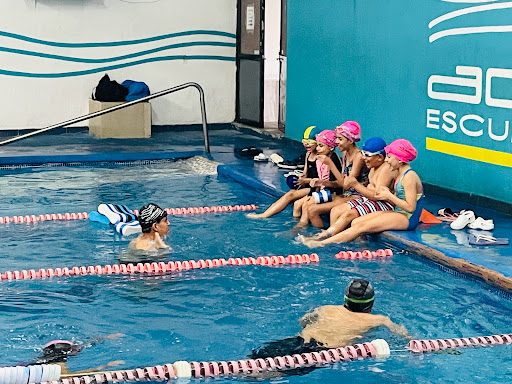 Clases natacion adultos Guadalajara