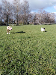 Wordsworth Dog Park