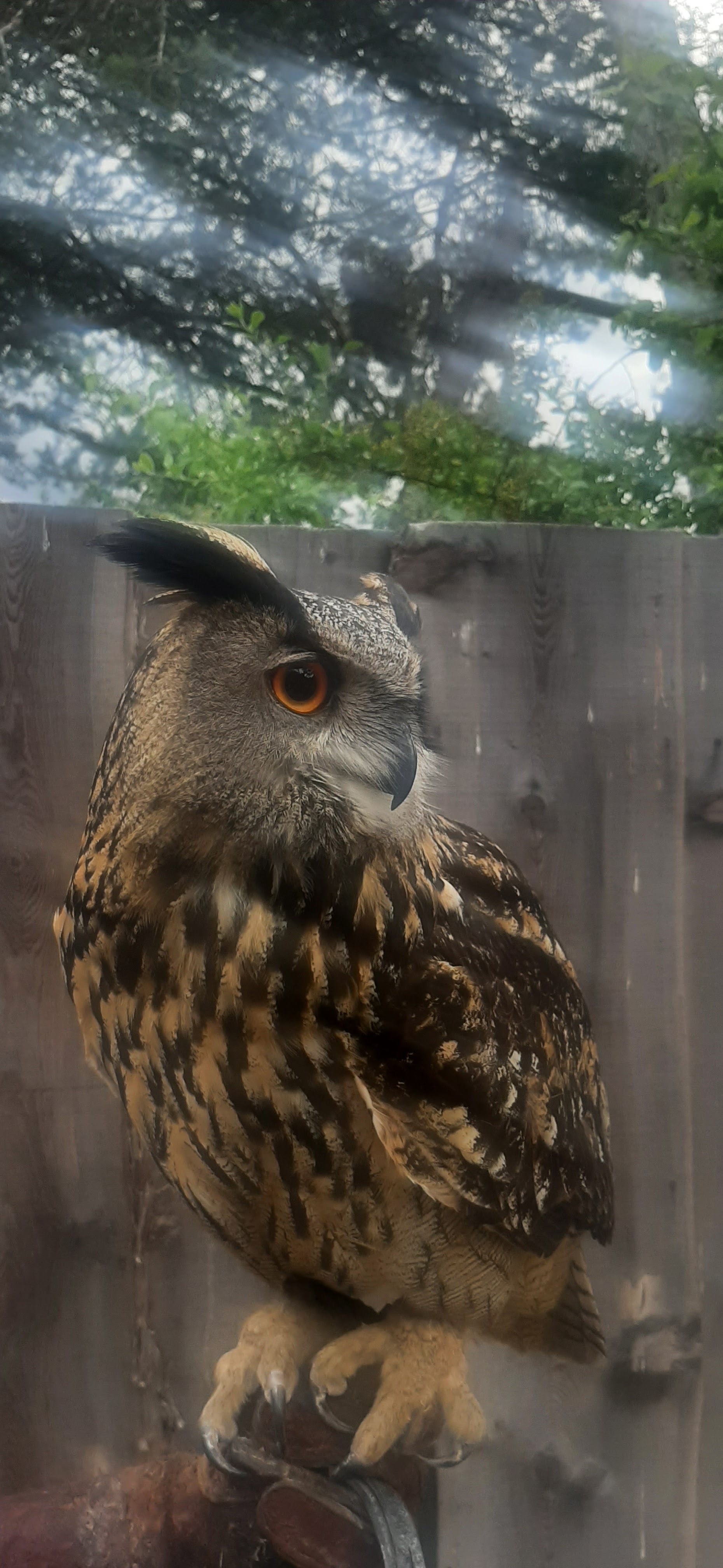 Photo n° 6 de l'avis de Thierry.a fait le 12/06/2023 à 20:21