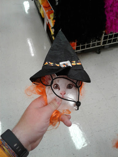 Craft Store «Michaels», reviews and photos, 4240 W 78th St, Bloomington, MN 55435, USA