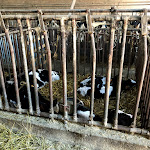 Photo n°18 de l'avis de Antonio.m fait le 12/05/2019 à 13:32 sur le  Agrisapori à Pralormo