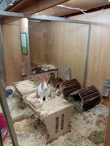 Pets at Home Stoke Longton