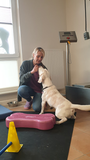 Dr. Uwe Peetz veterinarian unter Rahden, Nordrhein-Westfalen