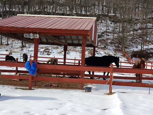 Zoo «Bailiwick Animal Park and Riding Stables», reviews and photos, 118 Castle Rd, Catskill, NY 12414, USA