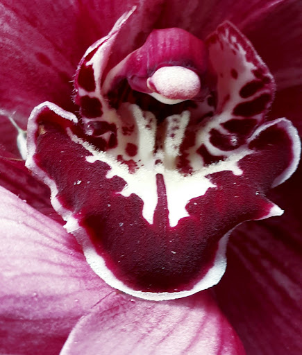 Florist «Always In Bloom», reviews and photos, 48 Bridge St, Etna, PA 15223, USA