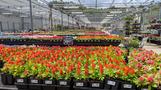 Discount Store «Walmart», reviews and photos, 300 Wootton St, Boonton, NJ 07005, USA