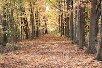 Photography by Nicole - Photo 2 - Car repair in Clio, MI, Flint