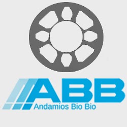 Andamios Bio Bio - Penco
