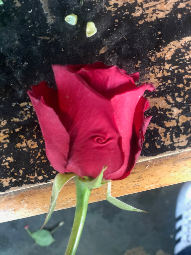 Florist «Pavilion of Flowers», reviews and photos, 799 Oceana Blvd, Pacifica, CA 94044, USA