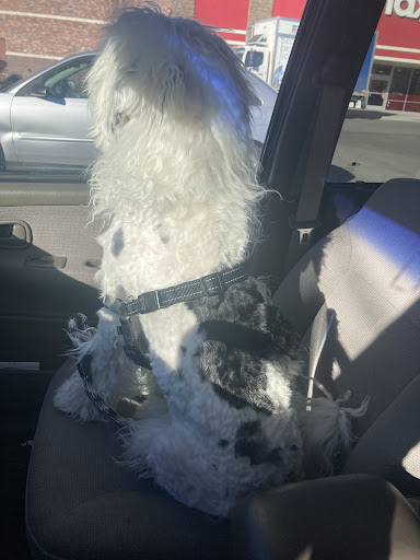 Pet Supply Store «Petco Animal Supplies», reviews and photos, 1320 E Lincoln Way p101, Sparks, NV 89434, USA