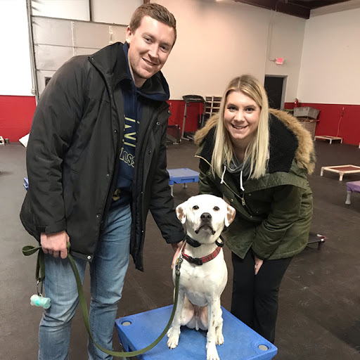 Sit Means Sit Dog Training Cleveland & Akron