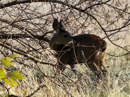 Park «Anderson River Park», reviews and photos
