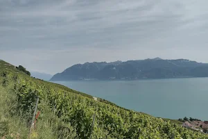 Wine And Ride Lavaux image