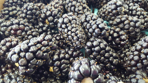 Grocery Store «Lewis River Produce», reviews and photos, 1697 Lewis River Rd, Woodland, WA 98674, USA