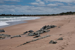 Foto de Basham Beach com muito limpo nível de limpeza