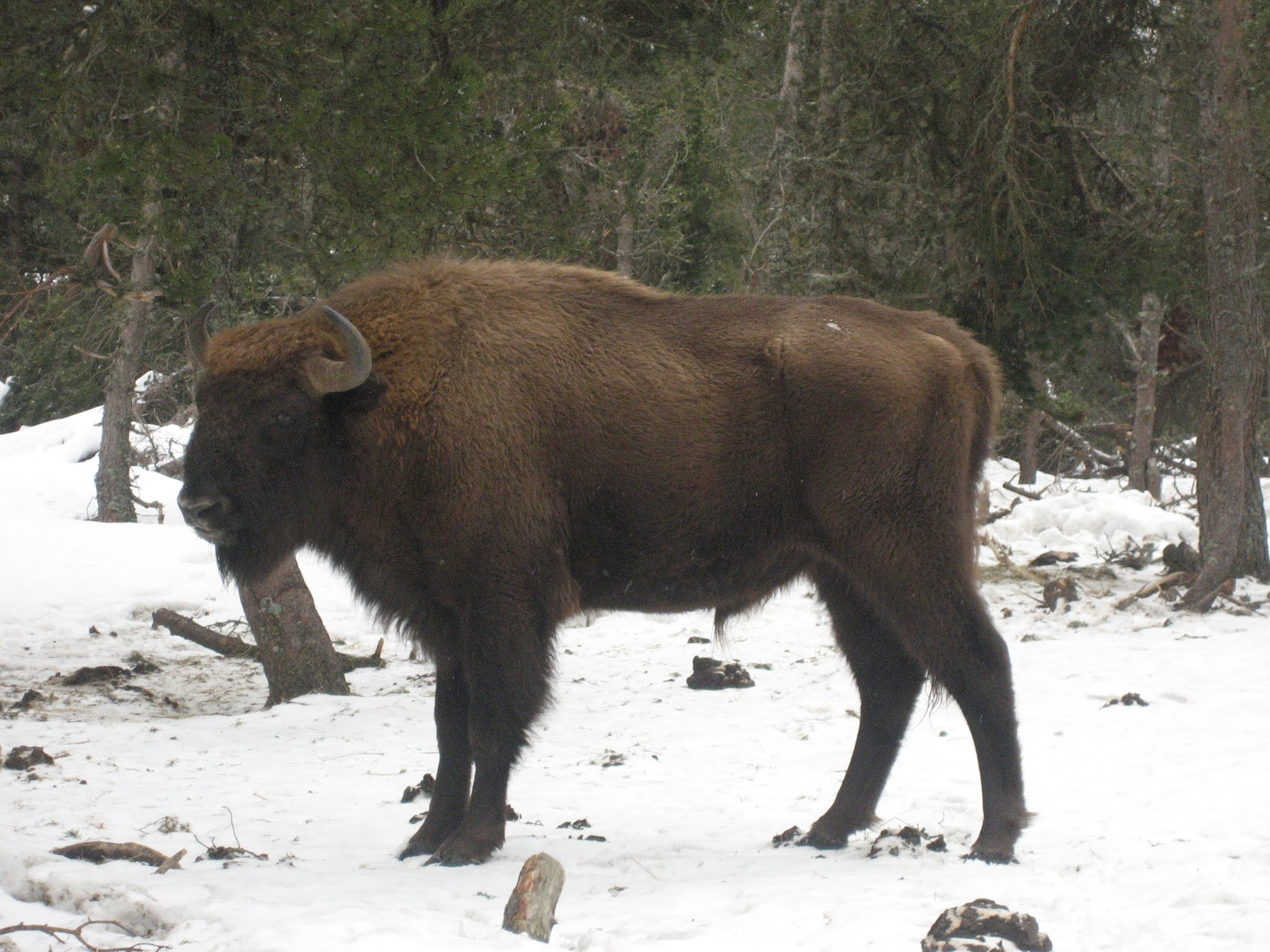 Photo n° 2 de l'avis de G..a fait le 10/06/2019 à 18:11