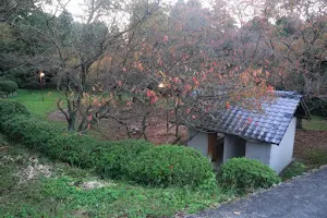 Yoshiihyakunen Park Camping Ground image