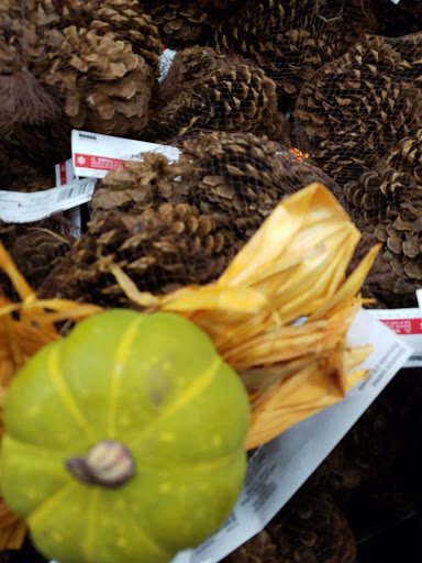 Craft Store «Michaels», reviews and photos, 1721 S Stapley Dr, Mesa, AZ 85204, USA