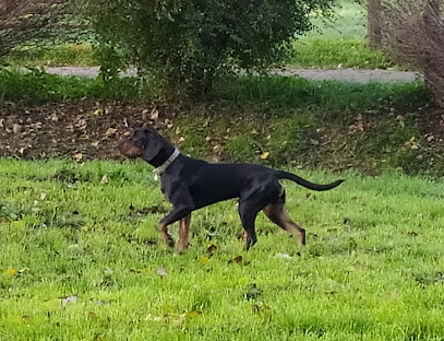 Gabinet Weterynaryjny PUPIL