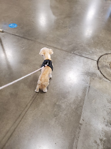 Pet Supply Store «PetSmart», reviews and photos, 1734 Old Fort Pkwy, Murfreesboro, TN 37129, USA