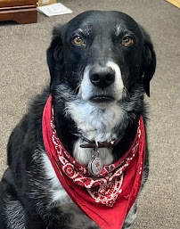 Sage Creek Repair - Photo 8 - Car repair in Idaho Falls, ID, Idaho Falls