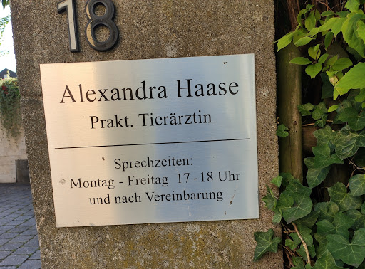 Tierärztin Alexandra Haase unter Geislingen, 