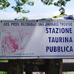 Photo n°6 de l'avis de Edilberto.i fait le 14/06/2020 à 20:12 sur le  Trattoria Da Miet à Pederobba