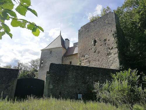 Château de Sallenôves à Marlioz