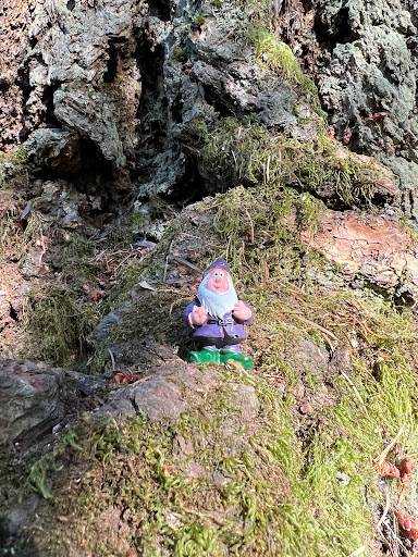 Non-Profit Organization «Audubon Society of Portland», reviews and photos, 5151 NW Cornell Rd, Portland, OR 97210, USA