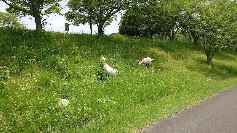 宇佐市桜づつみ公園