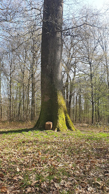 Rendez-vous Footing Sympa Off - Circuit des Abbayes à Saint-Nicolas-aux-Bois