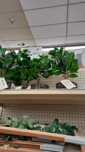 Discount Store «Big Lots», reviews and photos, 5640 Dixie Hwy, Waterford Twp, MI 48329, USA