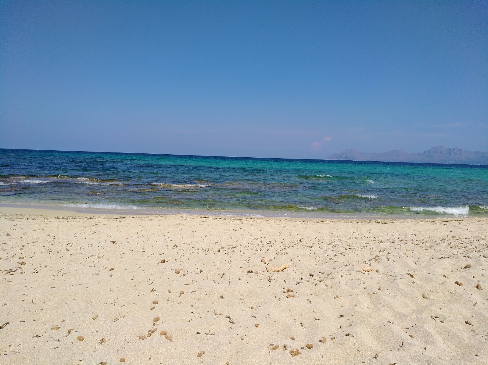 Playa Na Patana'in fotoğrafı vahşi alan