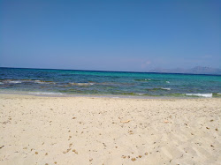 Playa Na Patana'in fotoğrafı vahşi alan