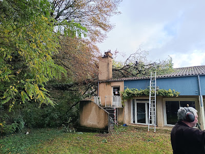 Elagueur et Co (élagage/abattage arbres) à Marnay