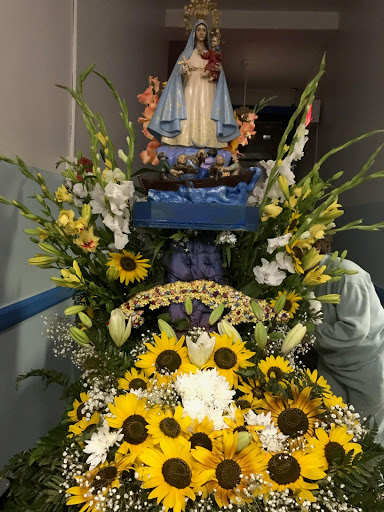 Monarca Florist, 137 Lockwood Ave, Yonkers, NY 10701, USA, 