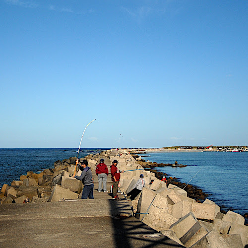 Escollera De La Paloma