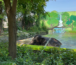 Surabaya Zoo photo