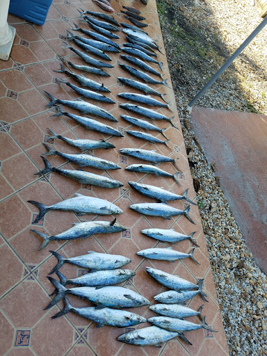 Park «North Glade Park», reviews and photos, 17355 NW 52nd Ave, Miami Gardens, FL 33055, USA